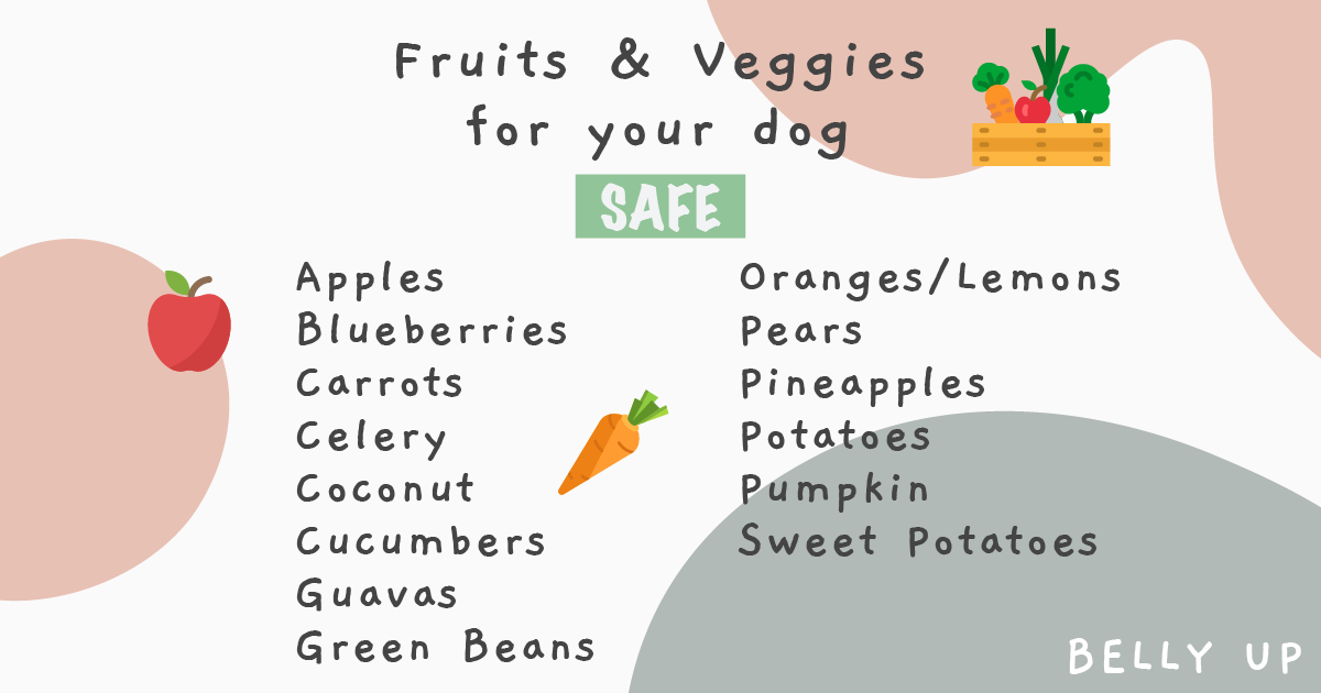 Can My Dog Eat This A List of Supermarket Fruits Vegetables Your Dog Can Eat. BELLY UP